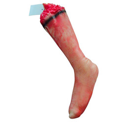 Нога